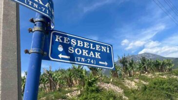 Antalya’da Çöp Konteynerinde Bulunan Kaplumbağa Kurtarıldı