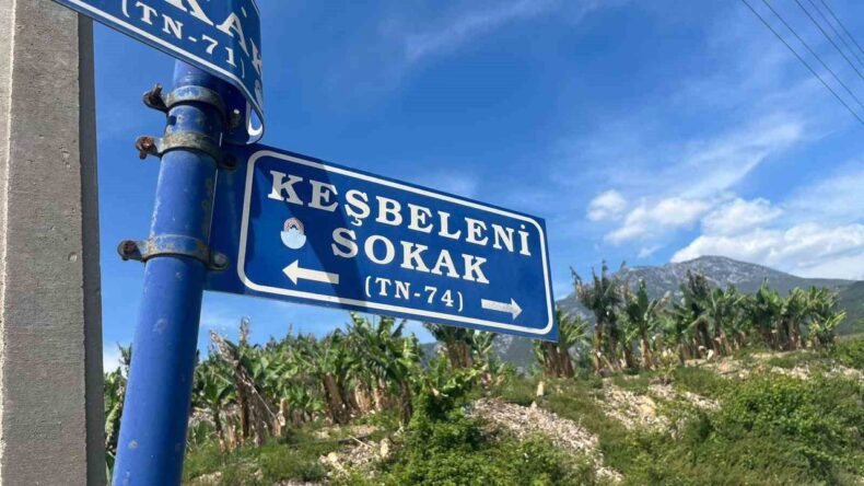 Antalya’da Çöp Konteynerinde Bulunan Kaplumbağa Kurtarıldı