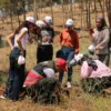 Kırıkhan’da Ekolojik Farkındalık Gezisi Düzenlendi