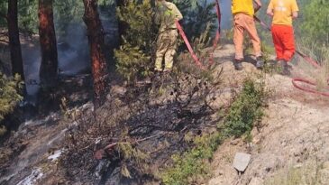 Hatay’da ormanlık alanda çıkan yangın söndürüldü