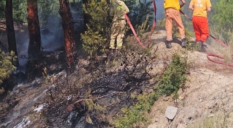 Hatay’da ormanlık alanda çıkan yangın söndürüldü