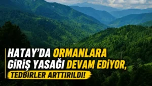 Hatay’da ormanlara giriş yasağı 31 Ekim 2026’ya kadar sürüyor