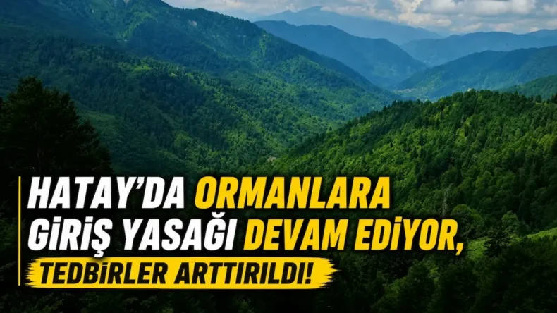 Hatay’da ormanlara giriş yasağı 31 Ekim 2026’ya kadar sürüyor