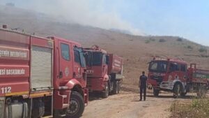 Hatay’da Makilik Alana Sıçrayan Anız Yangını Söndürüldü
