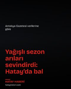 Defne’de yağışlı sezon arıcılara erken bal hasadı getirdi