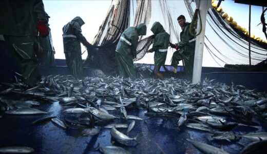 Hatay’da Balıkçılar İçin Geri Sayım: Yeni Sezon 15 Eylül’de Başlıyor