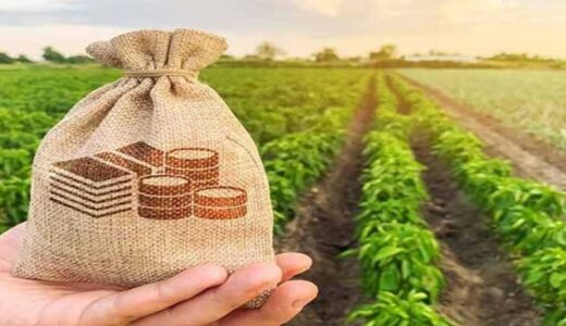 Hataylı Çiftçiler İçin Kritik Uyarı: 2027 ÇKS Başvuruları Başlıyor