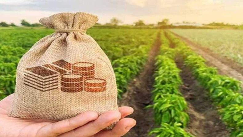 Hataylı Çiftçiler İçin Kritik Uyarı: 2027 ÇKS Başvuruları Başlıyor