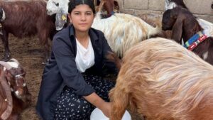 Kumlu’da 16 yaşındaki Esmanur hayvancılıkla ailesine destek oluyor