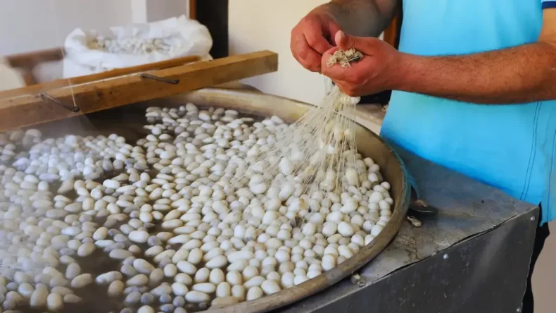 Özbekistan keşfi sonrası Hatay’ın ipek mirası yeniden öne çıktı