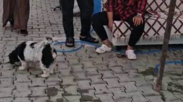Antakya’da Konteyner Kentte Palalı Saldırı: 4 Kişi Yaralandı