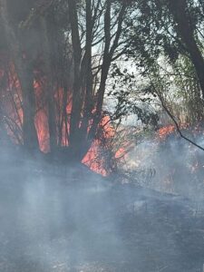 Antakya’da Farklı Noktalarda Çıkan Yangınlar Kontrol Altına Alındı
