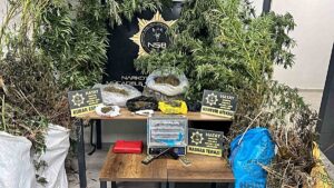 Antakya’da Uyuşturucu Operasyonu: 122 Kök Hint Keneviri Ele Geçirildi