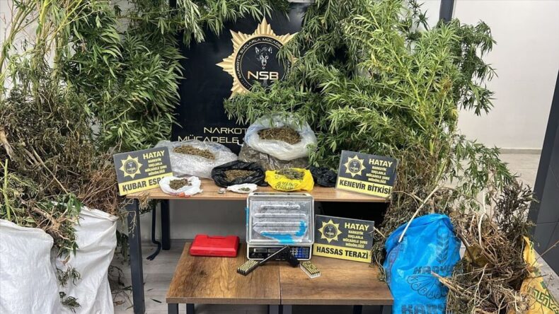 Samandağ’da Uyuşturucu ve Sahte İçki Operasyonu: 3 Gözaltı