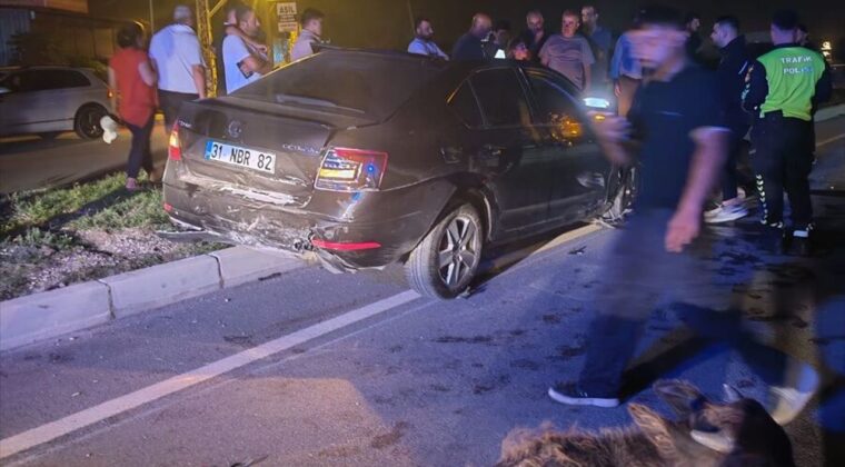 Samandağ Çevre Yolunda Trafik Kazası: 1 Yaralı, 3 Hayvan Telef Oldu