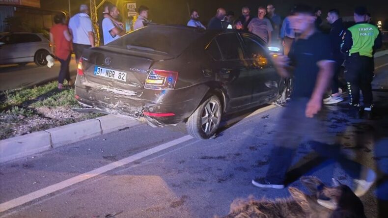 Samandağ Çevre Yolunda Trafik Kazası: 1 Yaralı, 3 Hayvan Telef Oldu