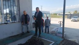 Hatay’da Zeytin Üreticilerine Kaliteli Hasat ve Taşıma Uyarısı