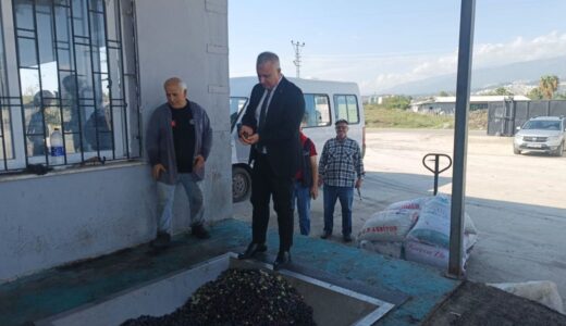 Hatay’da Zeytin Üreticilerine Kaliteli Hasat ve Taşıma Uyarısı