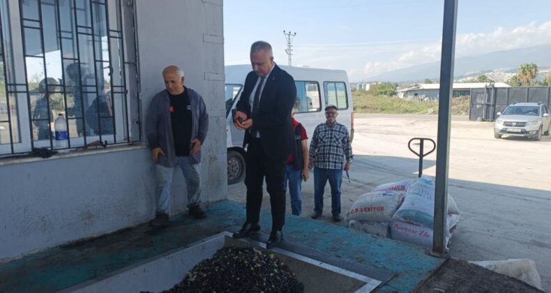 Hatay’da Zeytin Üreticilerine Kaliteli Hasat ve Taşıma Uyarısı